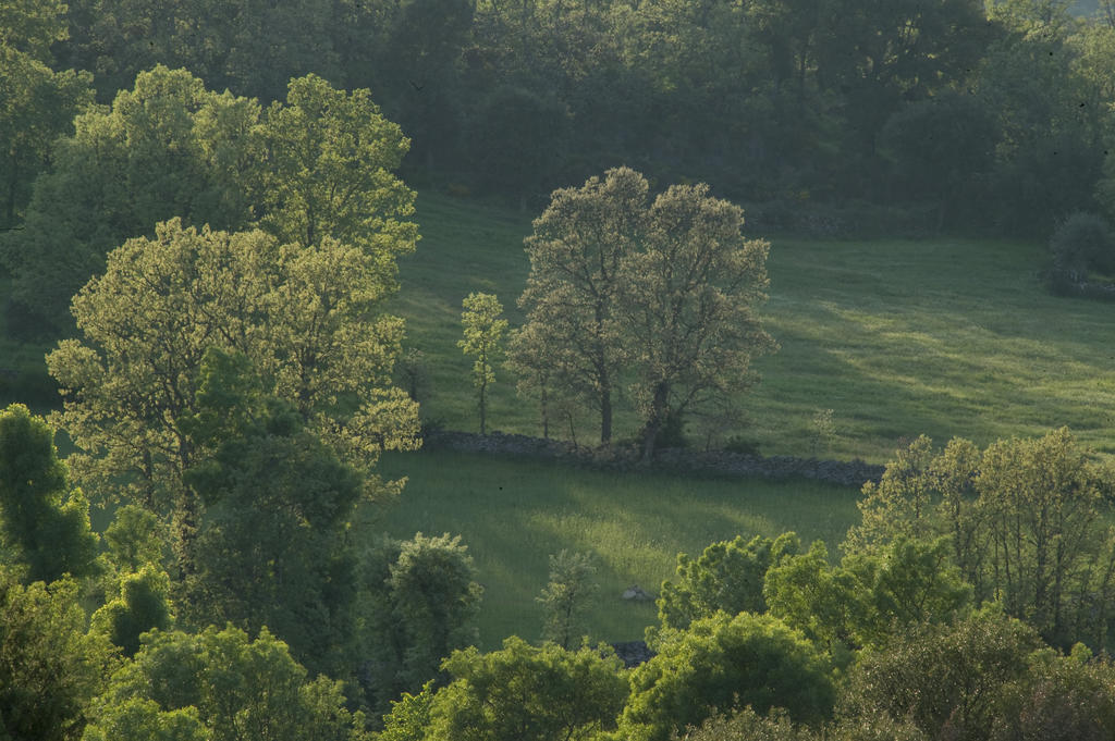 La Casa De Los Arribes Fornillos de Fermoselle Exteriör bild