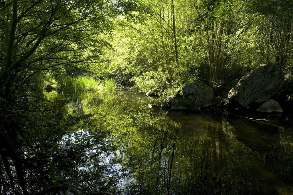 La Casa De Los Arribes Fornillos de Fermoselle Exteriör bild